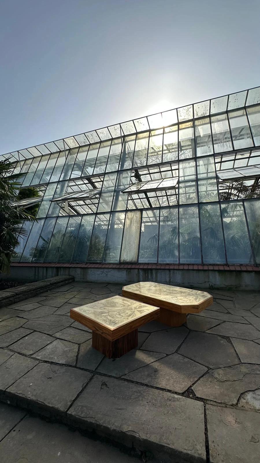 A quiet moment in the botanical garden.