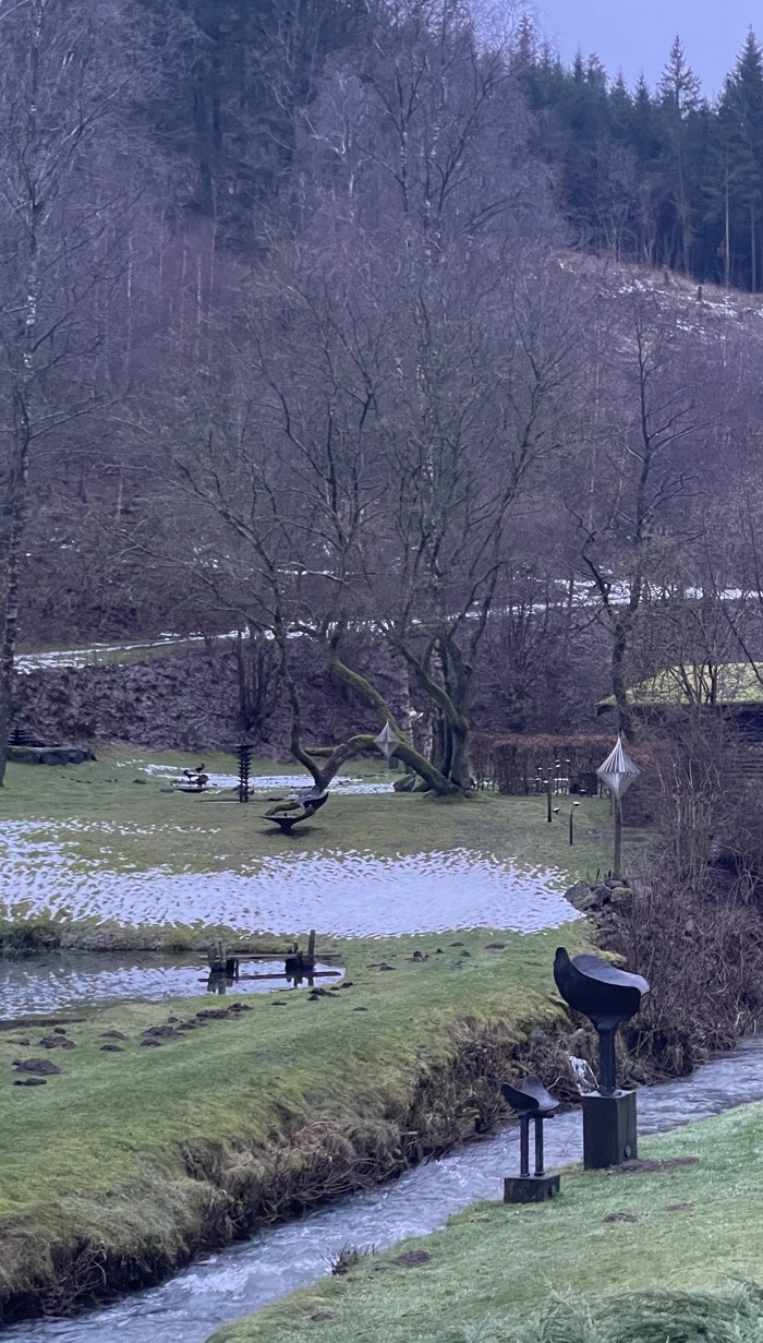 The woodland and water of the Sauerland landscape.